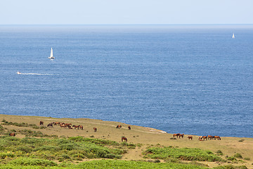 Image showing Atlantic coast