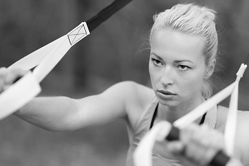 Image showing Training with fitness straps outdoors.