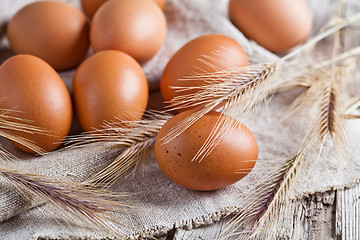 Image showing  fresh brown eggs and wheat ears 