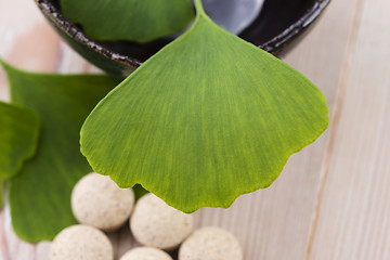 Image showing Ginkgo biloba leaves in mortar and pills