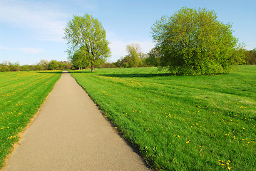 Image showing Summer landscape