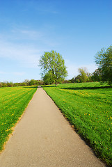 Image showing Summer landscape