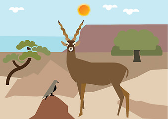 Image showing Antelope 