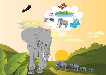 Image showing Memory of an elephant 