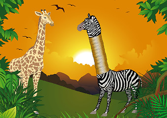 Image showing Zebra who wanted to be higher 