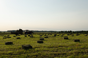 Image showing workers load dried hay straw bales to tractor 