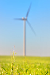 Image showing wind turbines on Green wheat field