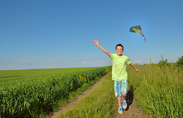 Image showing boy playing with kite on greenfield
