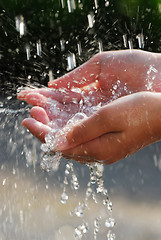 Image showing Hands and water