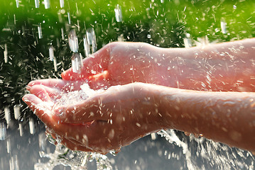 Image showing Hands and water