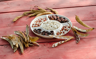 Image showing color shelled beans dried open pods on table  