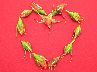 Image showing Rose buds arranged as heart on red felt