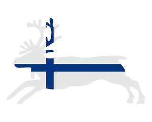Image showing Reindeer of finland