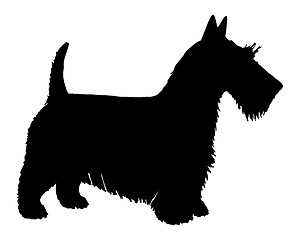 Image showing The black silhouette of a Scottish Terrier