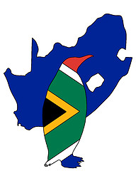 Image showing Penuin South Africa