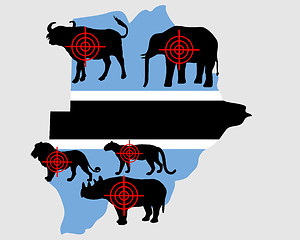 Image showing Big Five cross hairs Botswana