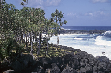 Image showing Lava beach La Reunion