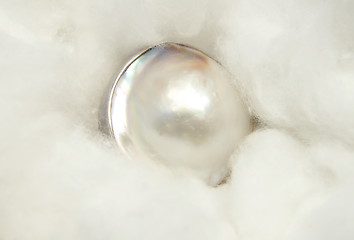 Image showing Pearl on cotton