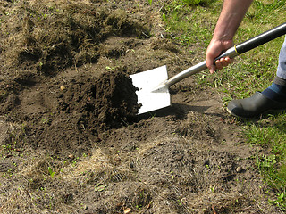 Image showing Cutout man with spade doing work in the garden