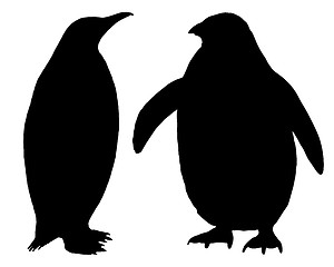 Image showing Penguin Silhouette