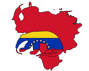 Image showing Anteater  Venezuela 