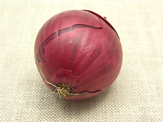 Image showing Red Onion arranged on a beige linen cloth