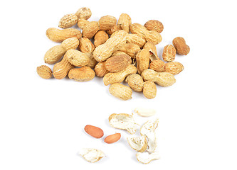 Image showing Peanuts on white