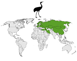 Image showing Common Crane breeding grounds