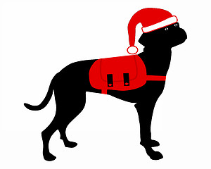 Image showing Dog with rucksack an christmas hat