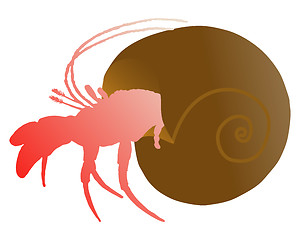 Image showing Hermit crab 