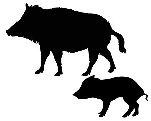 Image showing Wild boars silhouettes