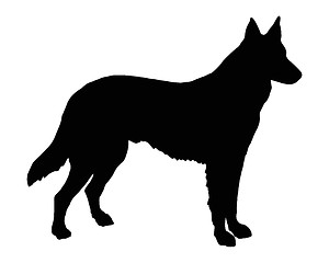 Image showing The black silhouette of a Shepherd Dog