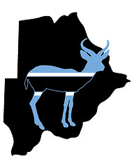 Image showing Botswana antelope