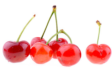Image showing Sweet cherries isolated on a white background