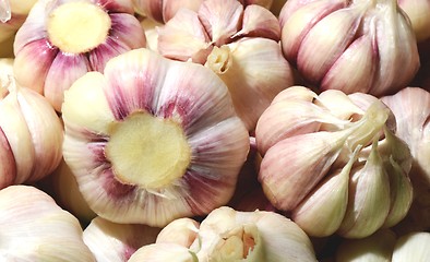 Image showing Pile of white purple garlic