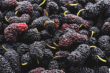 Image showing Closeup of many mulberry fruits