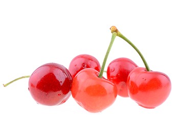 Image showing Sweet cherries isolated on a white background