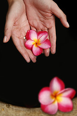 Image showing Hand and Flowers