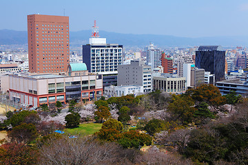 Image showing Wakayama City