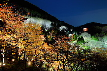 Image showing Japanese temple at night