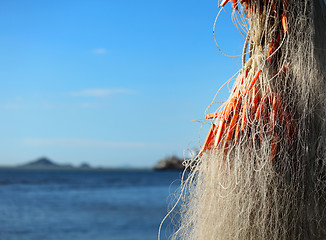 Image showing Fishing net for fishing industry