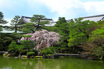Image showing Tropical Garden with Japanese style pavilion