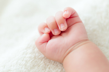 Image showing Newborn baby hand 