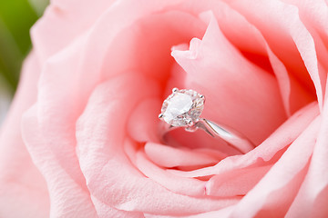 Image showing Pink Rose with diamond ring
