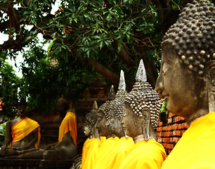 Image showing Aligned buddha statue in Ayutthaya