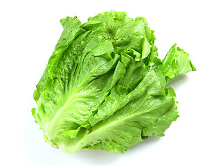 Image showing Lettuce