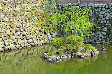 Image showing Japanese garden with lake