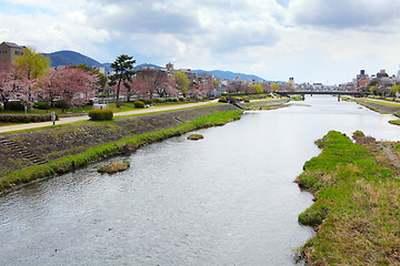 Image showing Kamo river in Kyoto