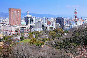 Image showing Wakayama City, Japan