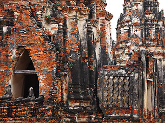 Image showing Buddha statue in ayutthaya